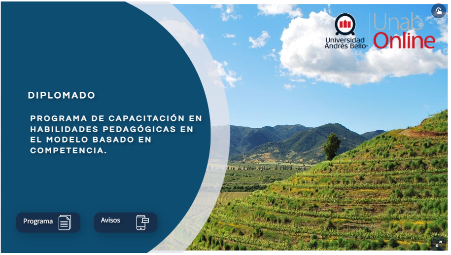 PROGRAMA DE CAPACITACIÓN EN HABILIDADES PEDAGÓGICAS EN EL MODELO BASADO EN COMPETENCIA.